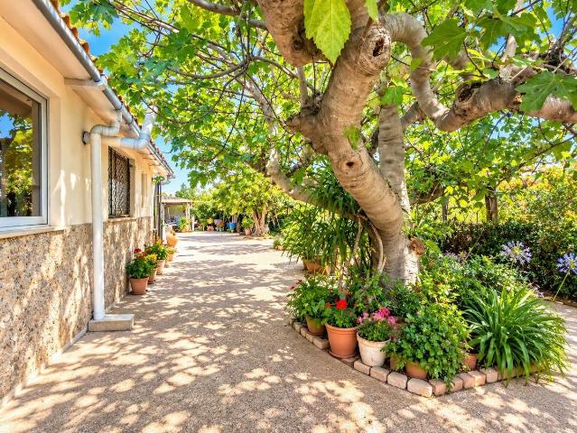 Casa chalet en Venta en Albatalia