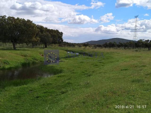 Casa chalet en Venta en Alcuéscar