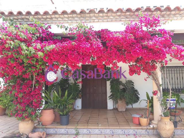 Casa chalet en Venta en Alcolea