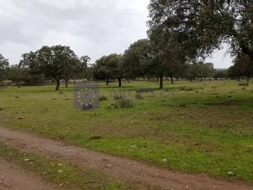 Casa chalet en Venta en Aldeacentenera