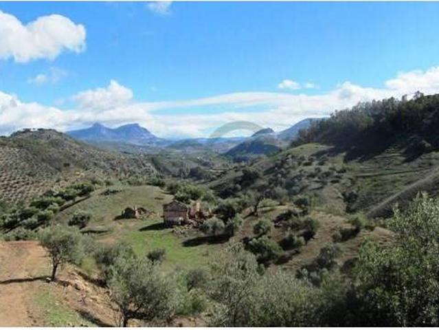 Casa chalet en Venta en Algodonales