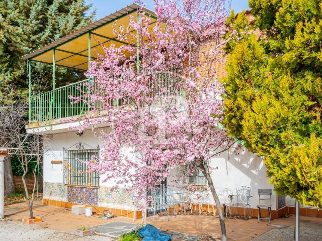 Casa chalet en Venta en Avenida Europa