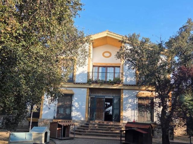 Casa chalet en Venta en Avenida Elvas