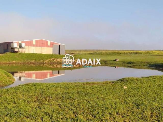 Casa chalet en Venta en Brozas