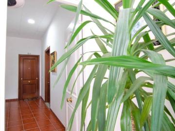 Brenes, Sevilla, Andalucía, Andalucía