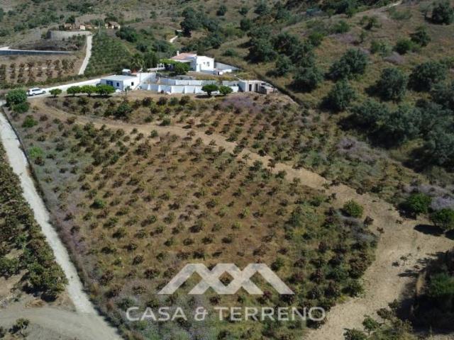 Casa chalet en Venta en Camino Viejo de Málaga