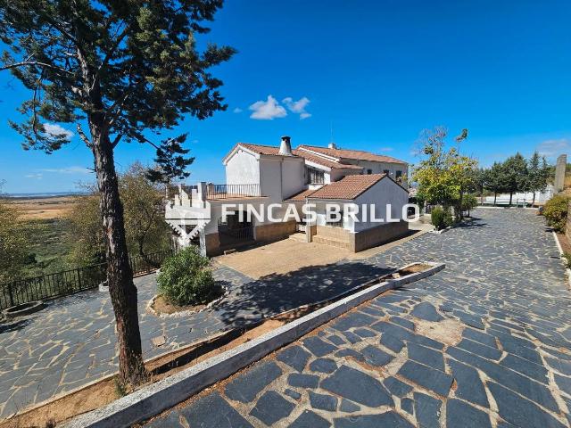 Casa chalet en Venta en Campus Universitario