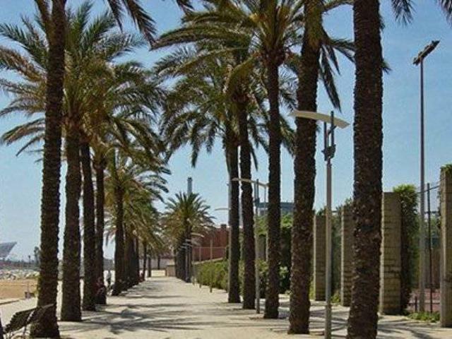Casa chalet en Venta en Canet de Mar