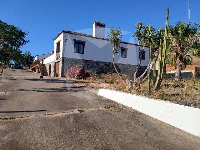 Casa chalet en Venta en Carretera de Sevilla Los Montitos