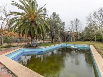 Avenida Principe de Asturias, Madrid, Pinares Llanos