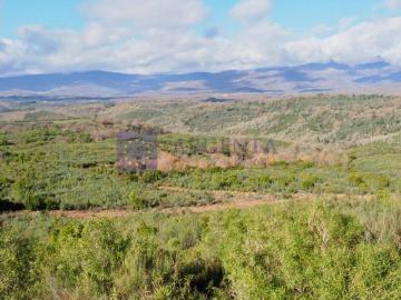 Casa chalet en Venta en Casatejada