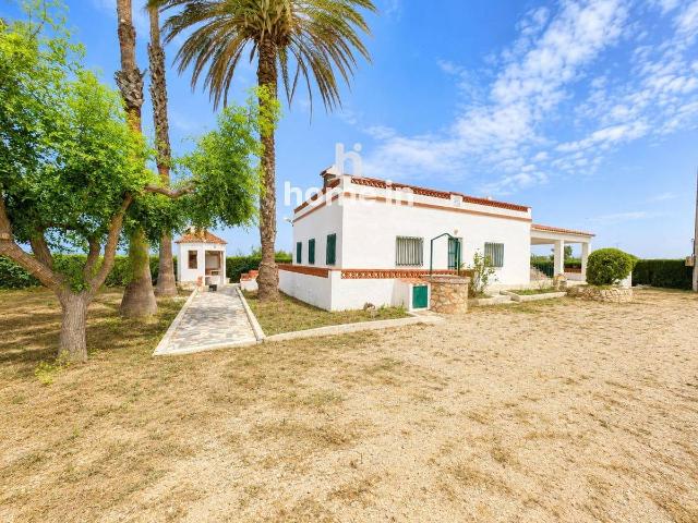 Casa chalet en Venta en Eucaliptus Poble Nou del Delta