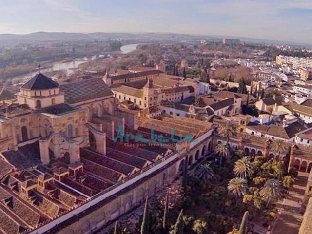 Casa chalet en Venta en Casco Histórico Ribera San Basilio