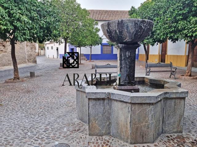 Casa chalet en Venta en Casco Histórico Ribera San Basilio