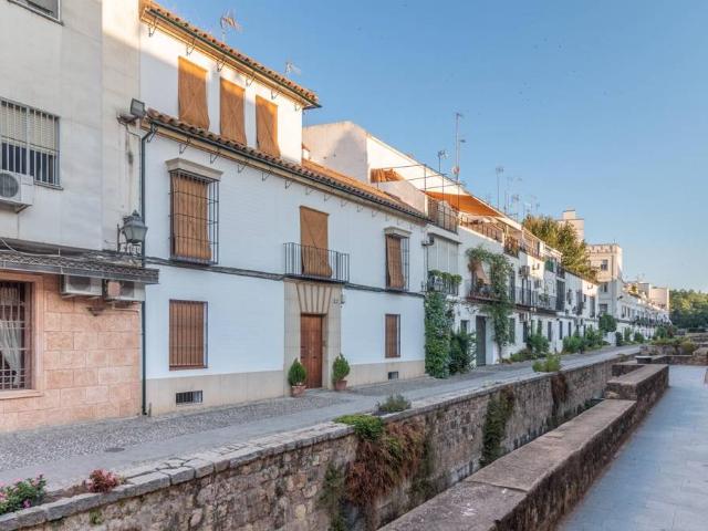 Casa chalet en Venta en Casco Histórico Ribera San Basilio