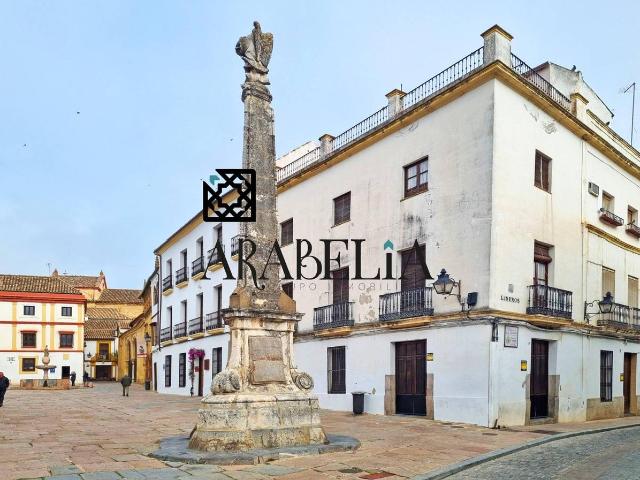 Casa chalet en Venta en Casco Histórico Ribera San Basilio