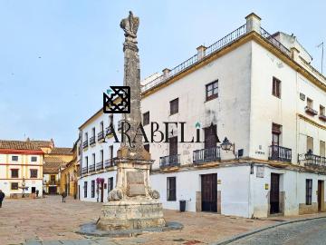 Casa chalet en Venta en Casco Histórico Ribera San Basilio