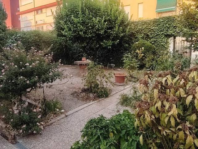 Casa chalet en Venta en Centro ciudad