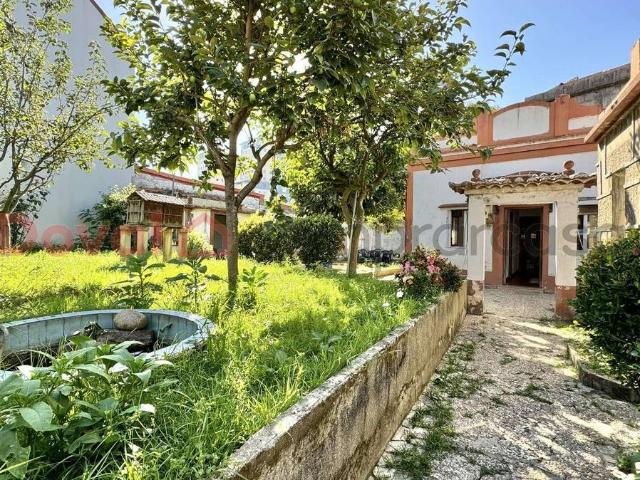 Casa chalet en Venta en Centro Areal
