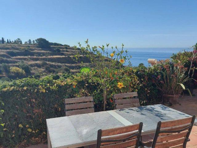 Casa chalet en Venta en Centro Internacional