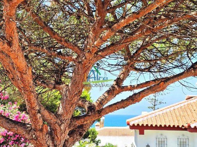 Casa chalet en Venta en Centro Torre de la Higuera