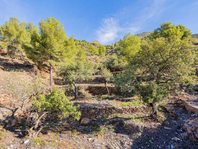 Casa chalet en Venta en Chilches / Xilxes