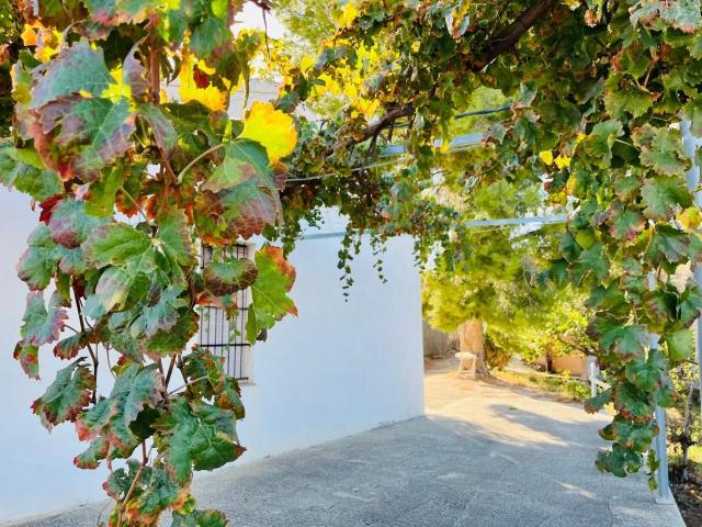 Casa chalet en Venta en Cieza
