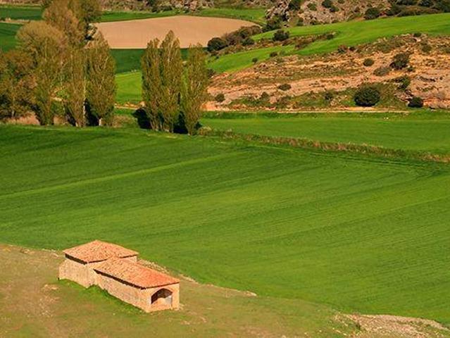 Casa chalet en Venta en Campus Universitario