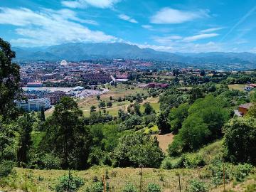 Casa chalet en Venta en Ciudad Naranco Prados de La Fuente