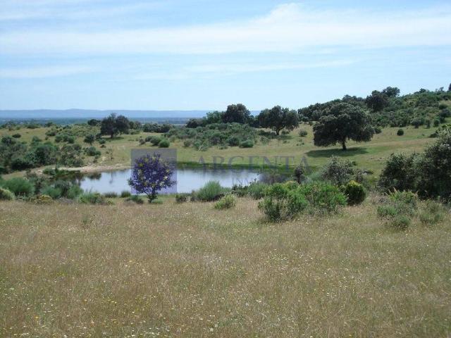 Casa chalet en Venta en Coria