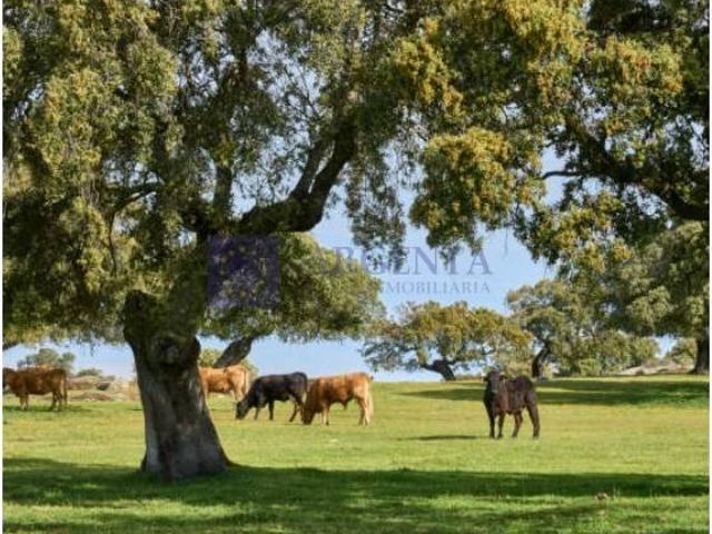 Casa chalet en Venta en Coria