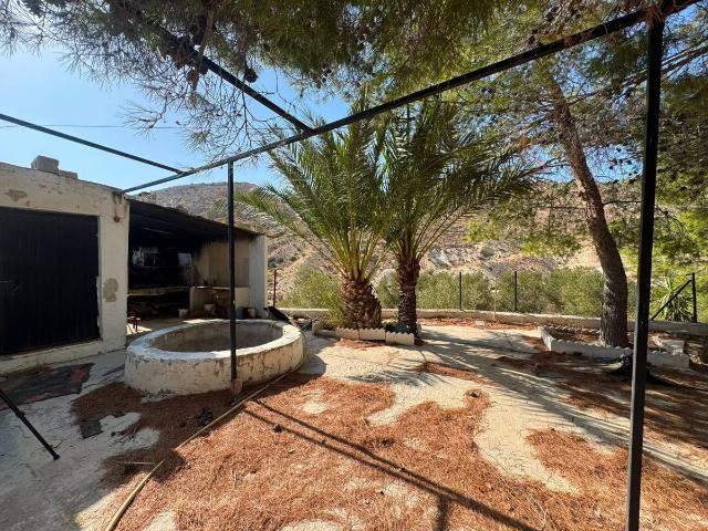 Casa chalet en Venta en Crevillent
