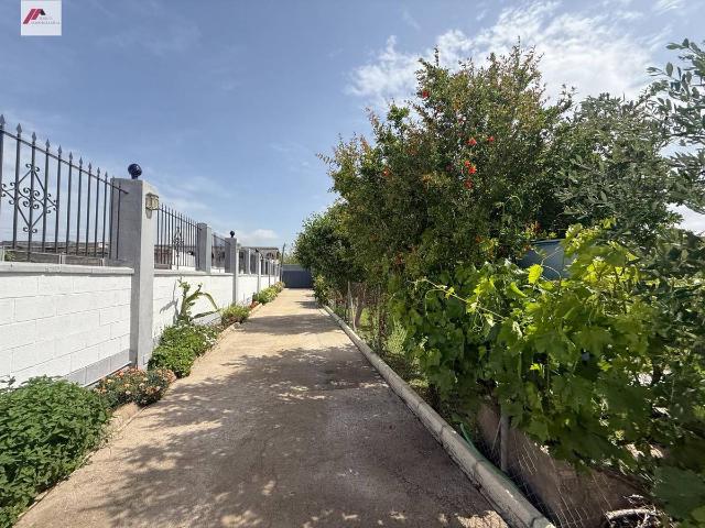 Casa chalet en Venta en Cuatro Pinos El Carmen