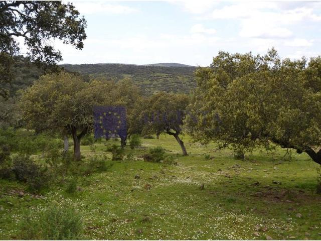 Casa chalet en Venta en Don Benito