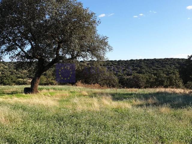 Casa chalet en Venta en Don Benito