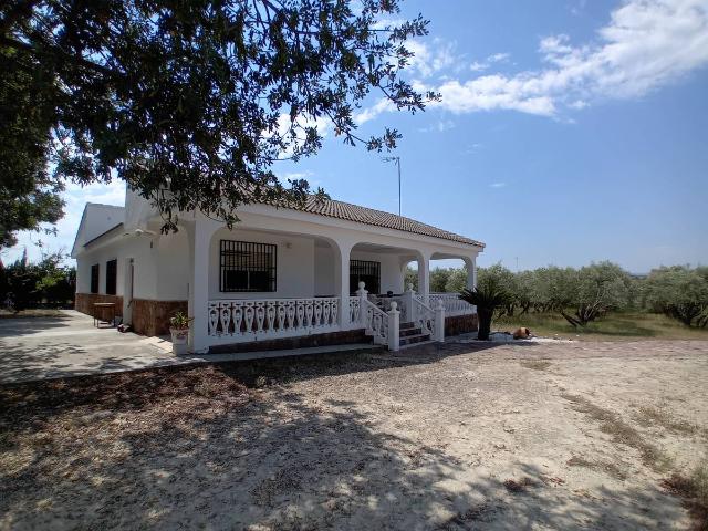 Casa chalet en Venta en El Vedat Santa Apolonia