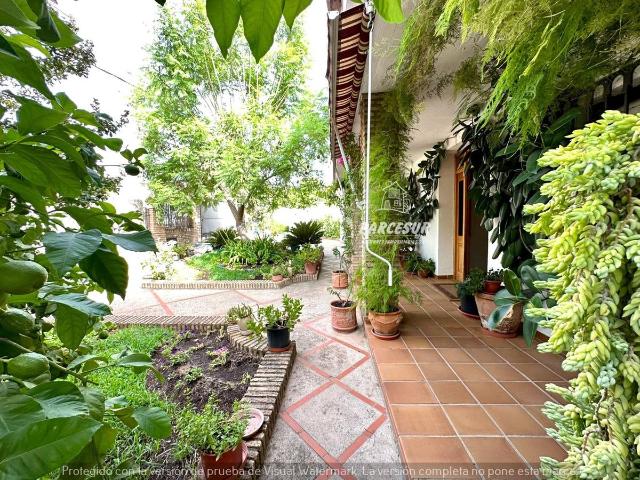 Casa chalet en Venta en El Brillante El Naranjo El Tablero