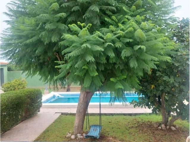 Casa chalet en Venta en El Grao