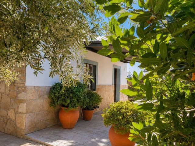 Casa chalet en Venta en El Lentiscal