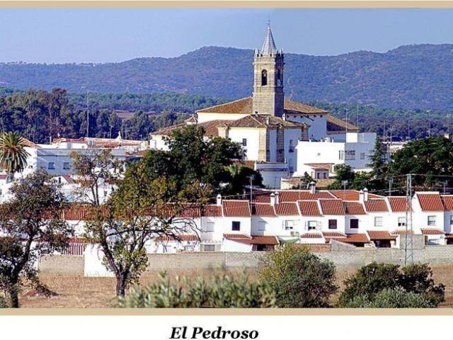 Casa chalet en Venta en El Pedroso