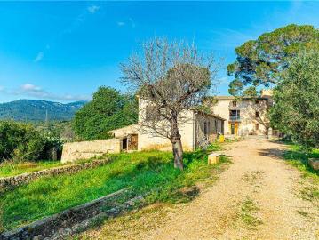 Casa chalet en Venta en Establiments