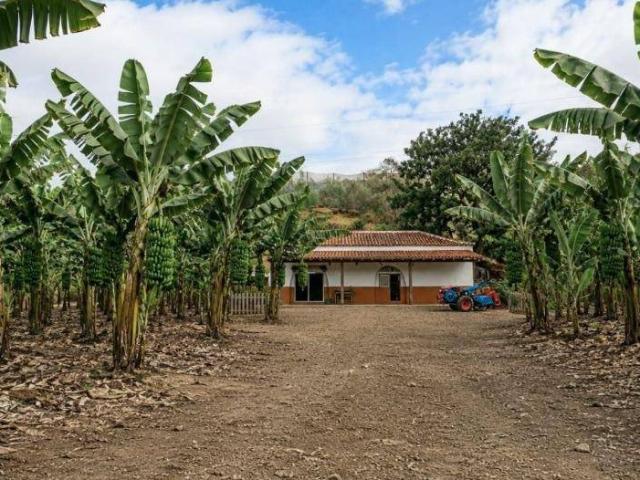 Casa chalet en Venta en Gáldar pueblo
