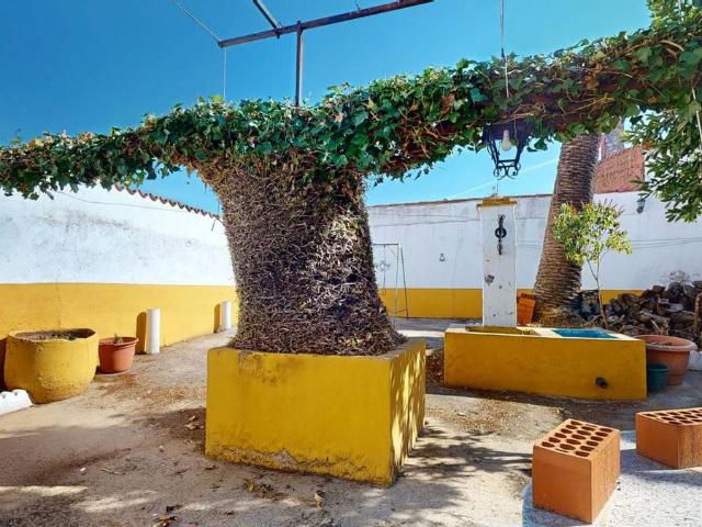 Casa chalet en Venta en Hinojosa del Valle