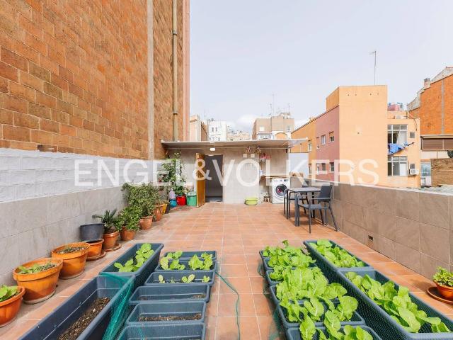 Casa adosada en Venta en Hostafrancs