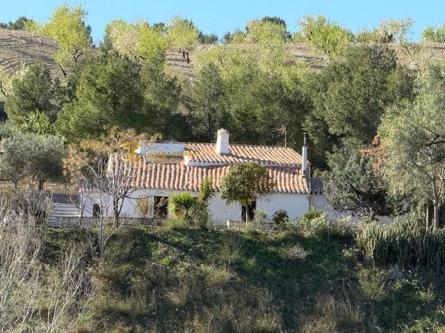 Casa chalet en Venta en Jarales