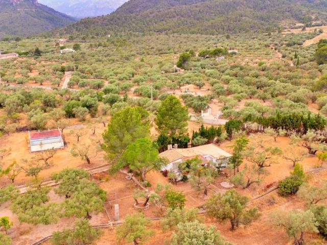 Casa chalet en Venta en Jesús Els Reguers