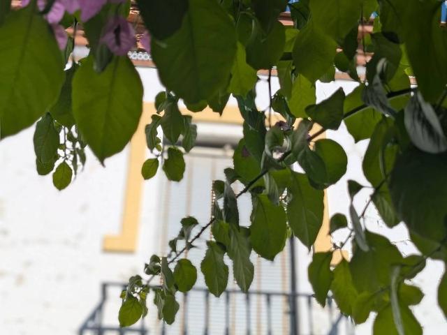 Casa chalet en Venta en La Algaba