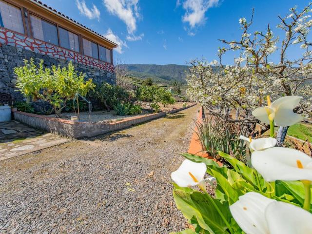 Casa chalet en Venta en La Guancha