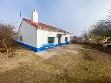 Calle de la Paloma, Ciudad Real, Centro de Ciudad Real, Villa Carolina, Ciudad Real, Castilla-La Mancha, Castilla-La Mancha