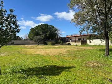 Plaza de Neptuno - Cuarto de oficina, Jardín
